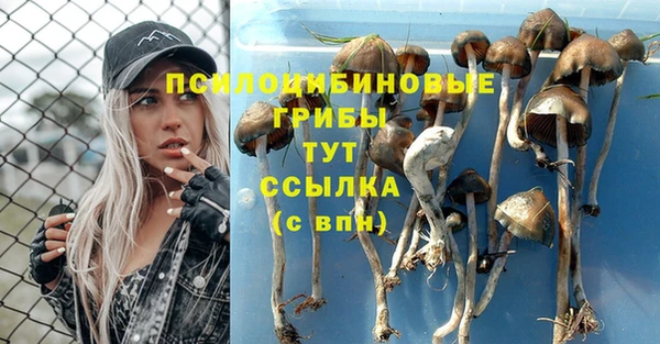 гидра Кинешма