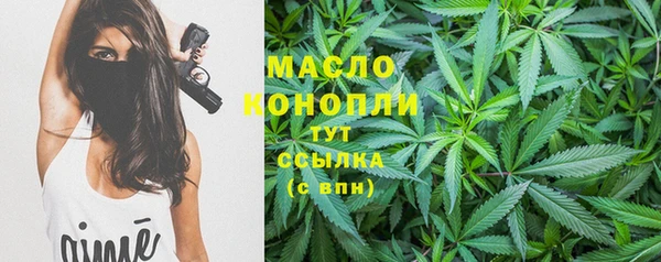 гидра Кинешма