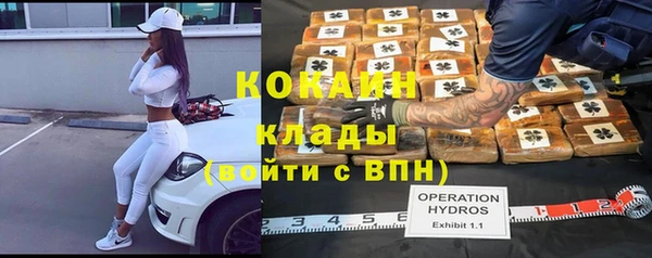 гидра Кинешма